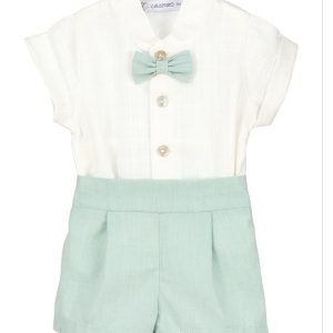 Papillon Verde Salvia