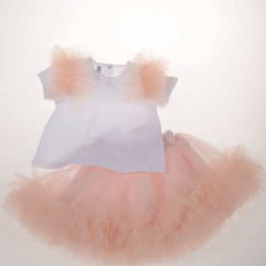 Piume e tulle